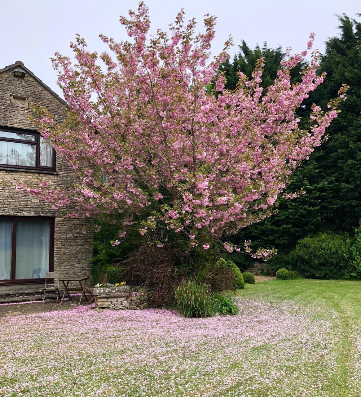 Best Western Compass Inn Tormarton Eksteriør bilde